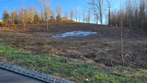 Vacant Land For Sale - Hardin Road<br/> Sequatchie County, Dunlap, TN 37327