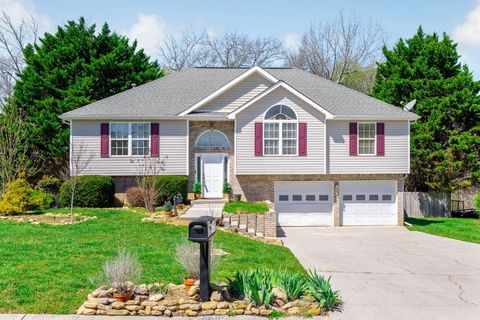 Photo of 6895 Bucksland Drive, Ooltewah, TN 37363 (MLS # 1529405)