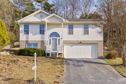 Photo of 409 Cyndica Drive, Chattanooga, TN 37421 (MLS # 1524993)