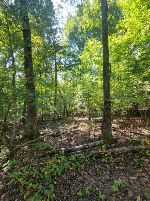 Photo of 0 Fire Tower Road, Cleveland, TN 37323 (MLS # 1530993)