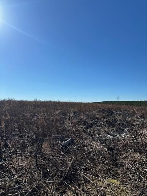 Photo of Tract 4 50th Avenue, Gruetli Laager, TN 37339 (MLS # 1527002)