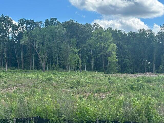 Lots 7-10 Michigan & Minnis Avenue, Cleveland, Tennessee image 3
