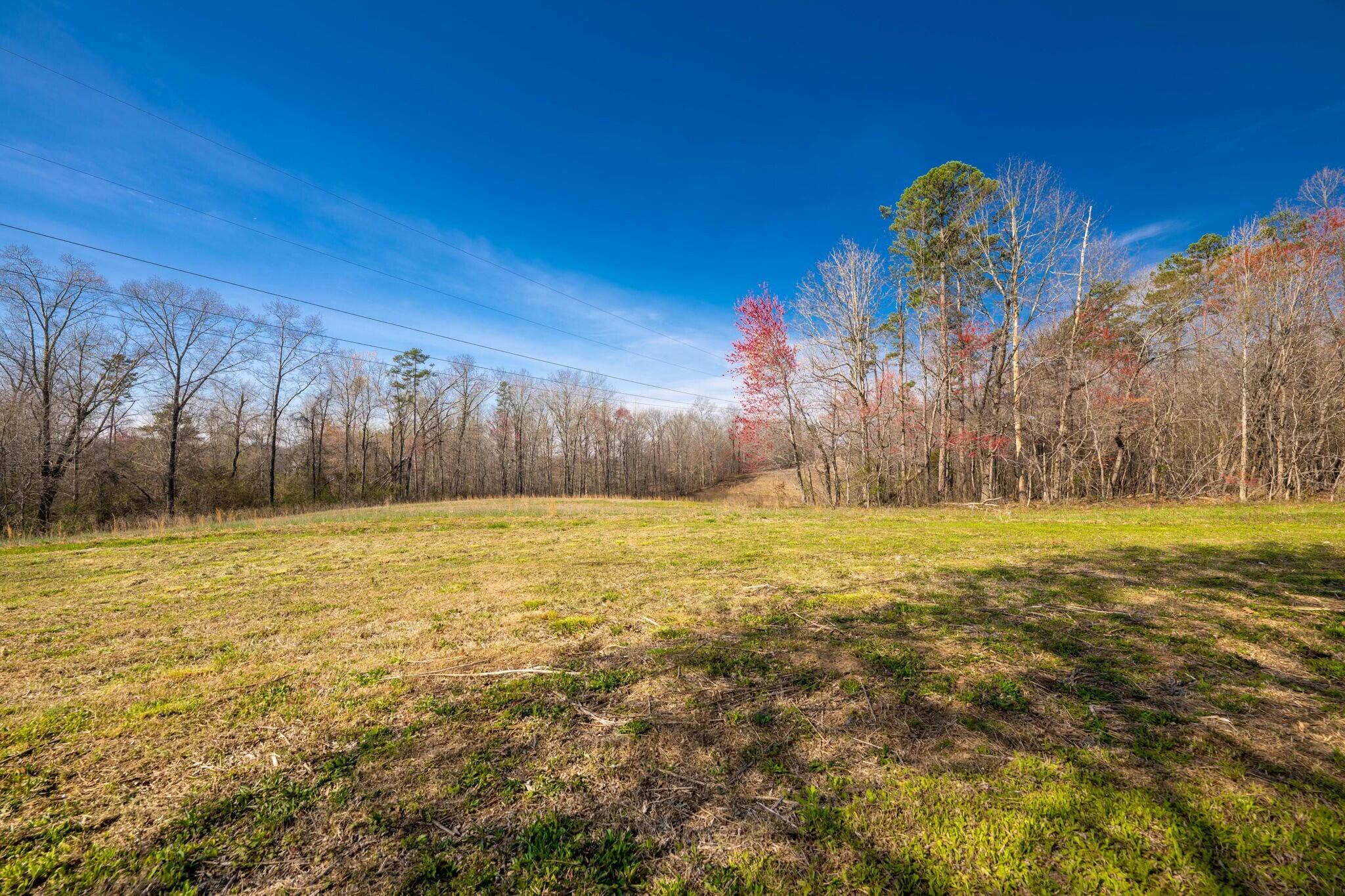 8615 Ga 301, Trenton, Georgia image 37