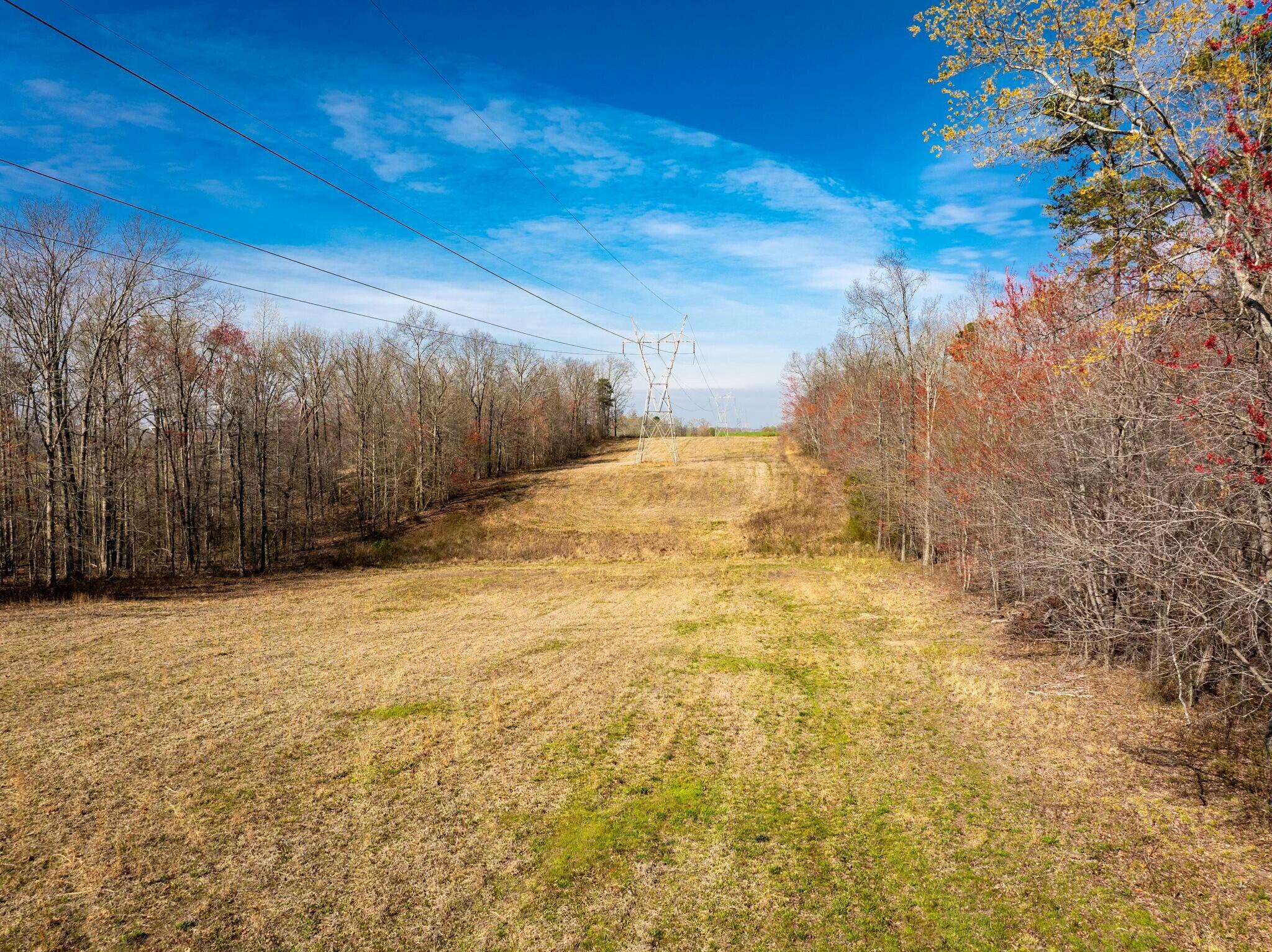 8615 Ga 301, Trenton, Georgia image 31