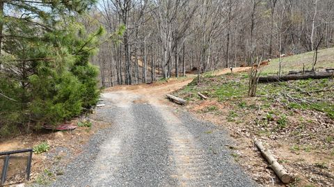 Vacant Land For Sale - 561 Geren Subdivision Lane<br/> Meigs County, Decatur, TN 37322