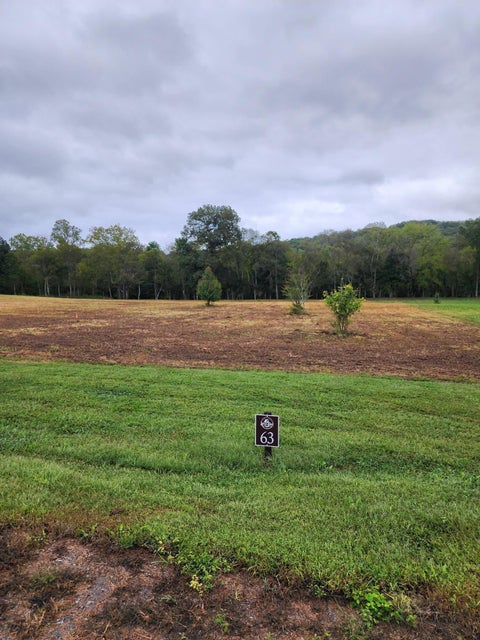 Photo of 63 River Ridge Drive, Dunlap, TN 37327 (MLS # 1538233)