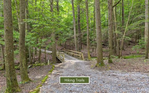 Tiny photo for 0 Fredonia Drive, Dunlap, TN 37327 (MLS # 1507694)