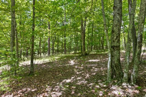 Tiny photo for 0 Fredonia Drive, Dunlap, TN 37327 (MLS # 1507694)