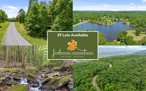 Photo of 0 Fredonia Drive, Dunlap, TN 37327 (MLS # 1507694)
