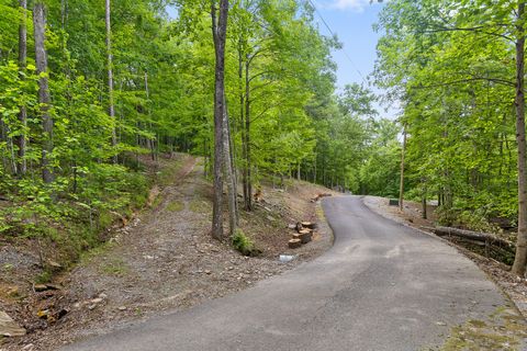 Tiny photo for 0 Fredonia Drive, Dunlap, TN 37327 (MLS # 1507694)