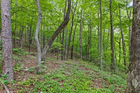 Tiny photo for 0 Fredonia Drive, Dunlap, TN 37327 (MLS # 1507694)