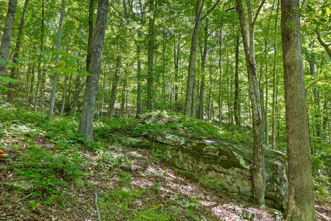 Tiny photo for 0 Fredonia Drive, Dunlap, TN 37327 (MLS # 1507694)
