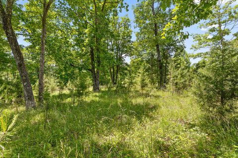 Tiny photo for 0 Fredonia Drive, Dunlap, TN 37327 (MLS # 1507694)