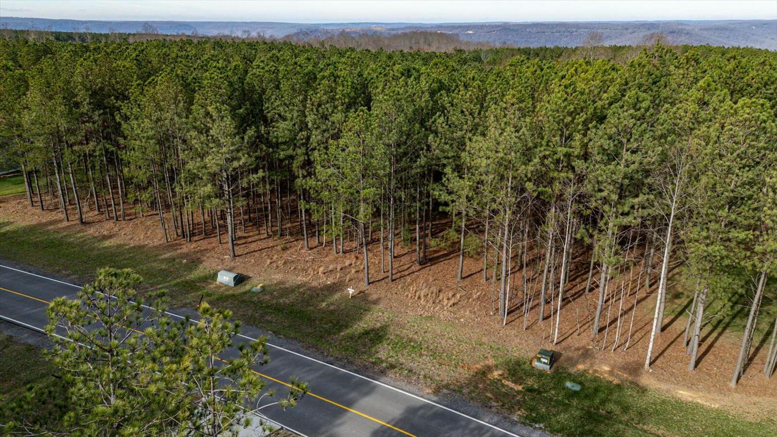 #309 Crockett Pointe, Jasper, Tennessee image 8