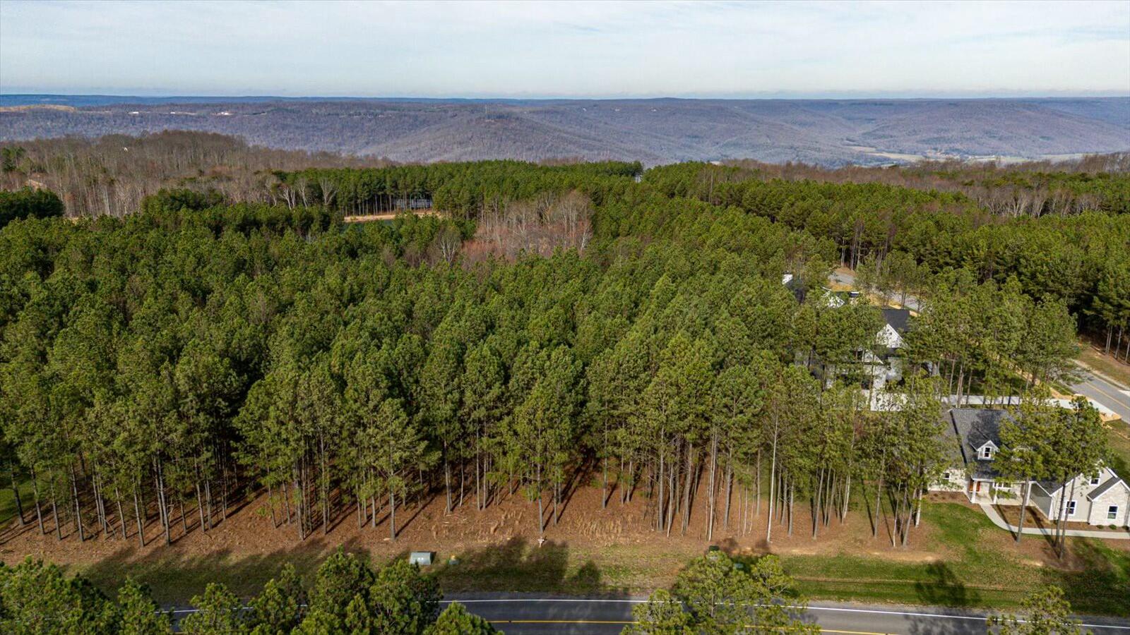 #309 Crockett Pointe, Jasper, Tennessee image 12