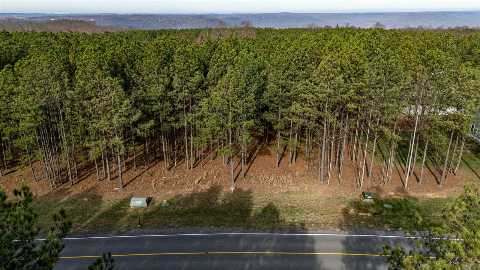 #309 Crockett Pointe, Jasper, Tennessee image 9