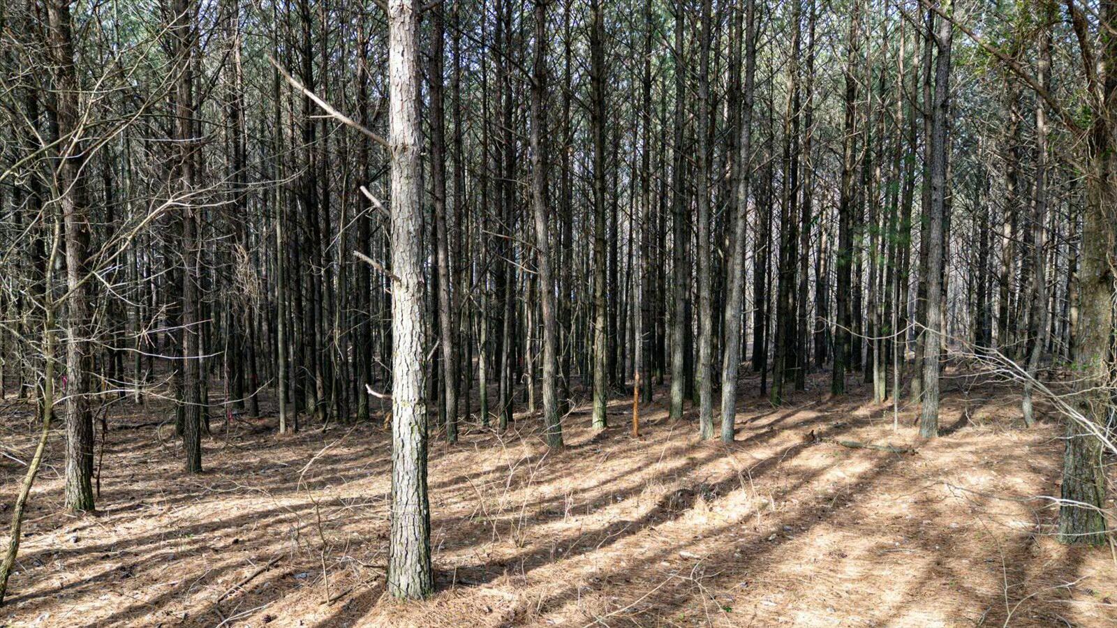 #309 Crockett Pointe, Jasper, Tennessee image 18