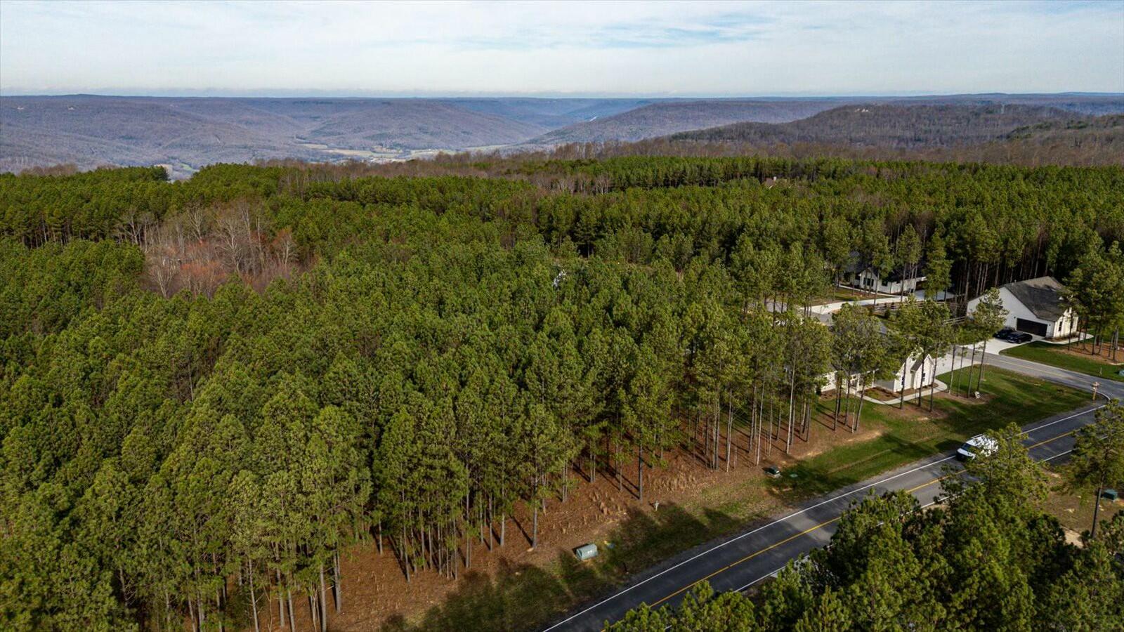 #309 Crockett Pointe, Jasper, Tennessee image 11