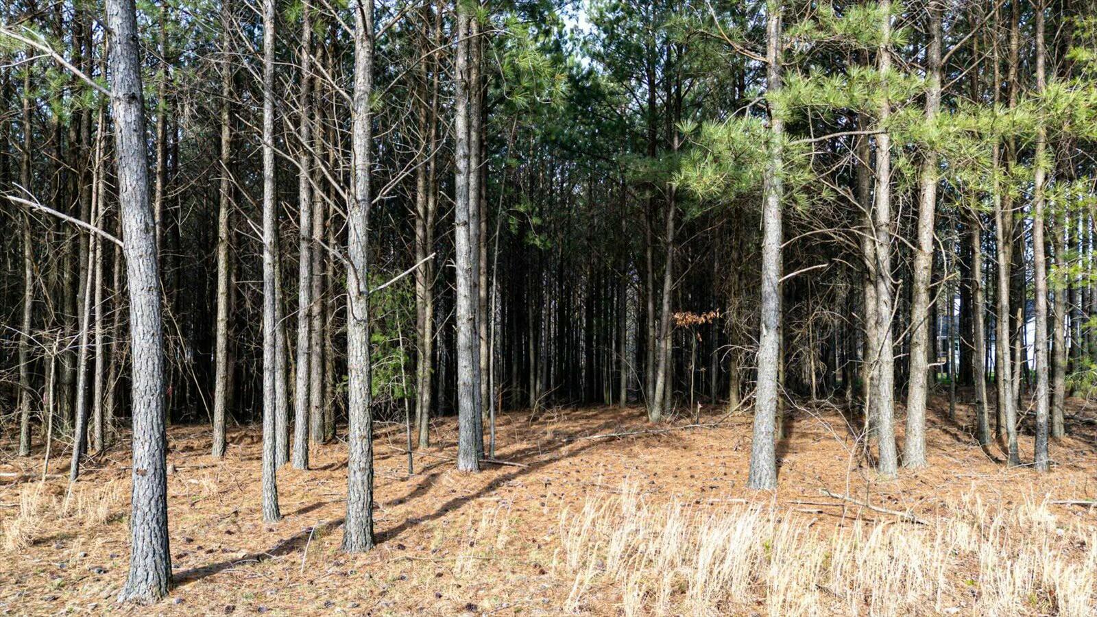 #309 Crockett Pointe, Jasper, Tennessee image 7