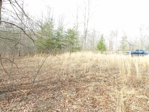 Vacant Land For Sale - Camp Creek Road<br/> Spencer, TN 38585