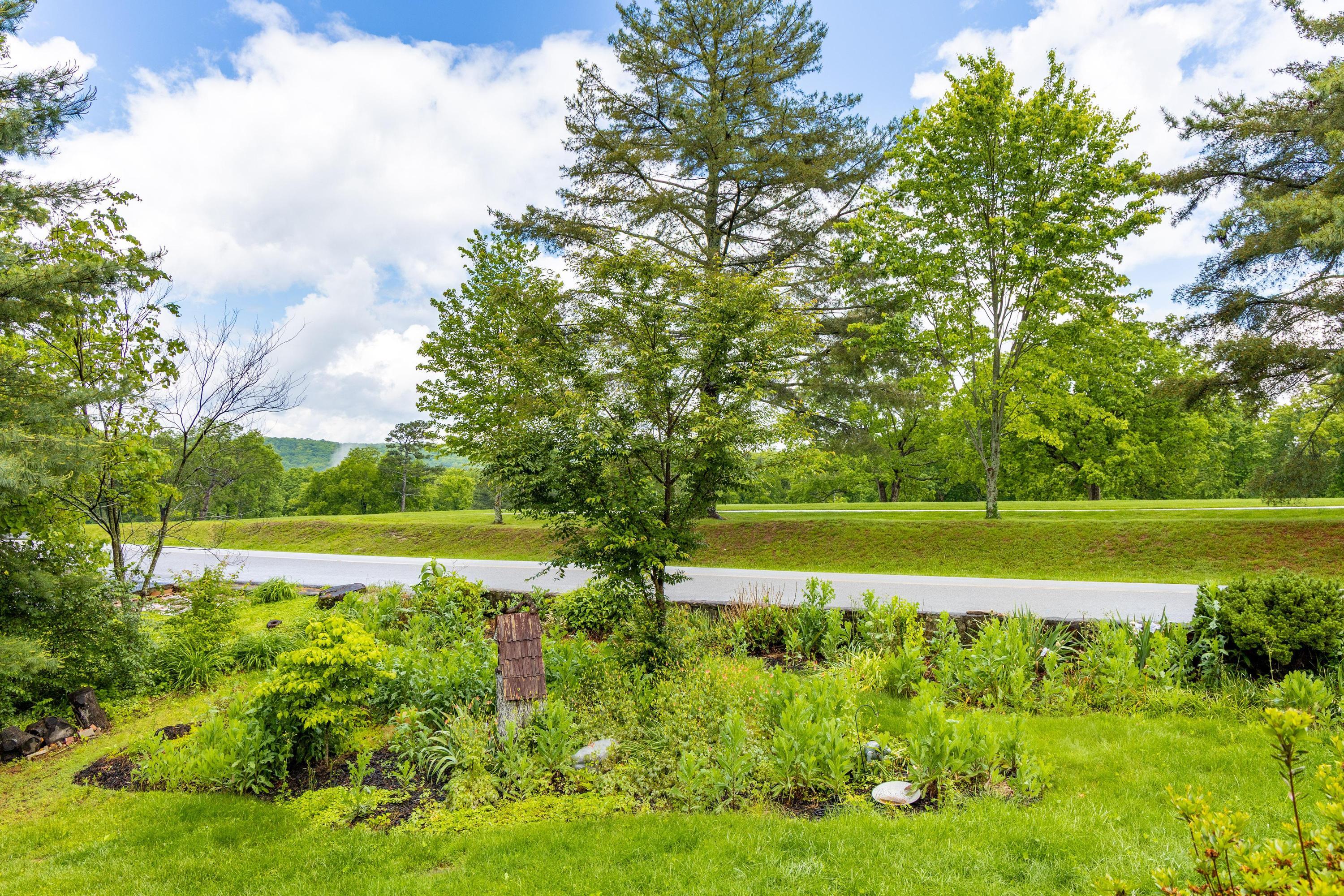 115 Golf Drive, Signal Mountain, Tennessee image 40