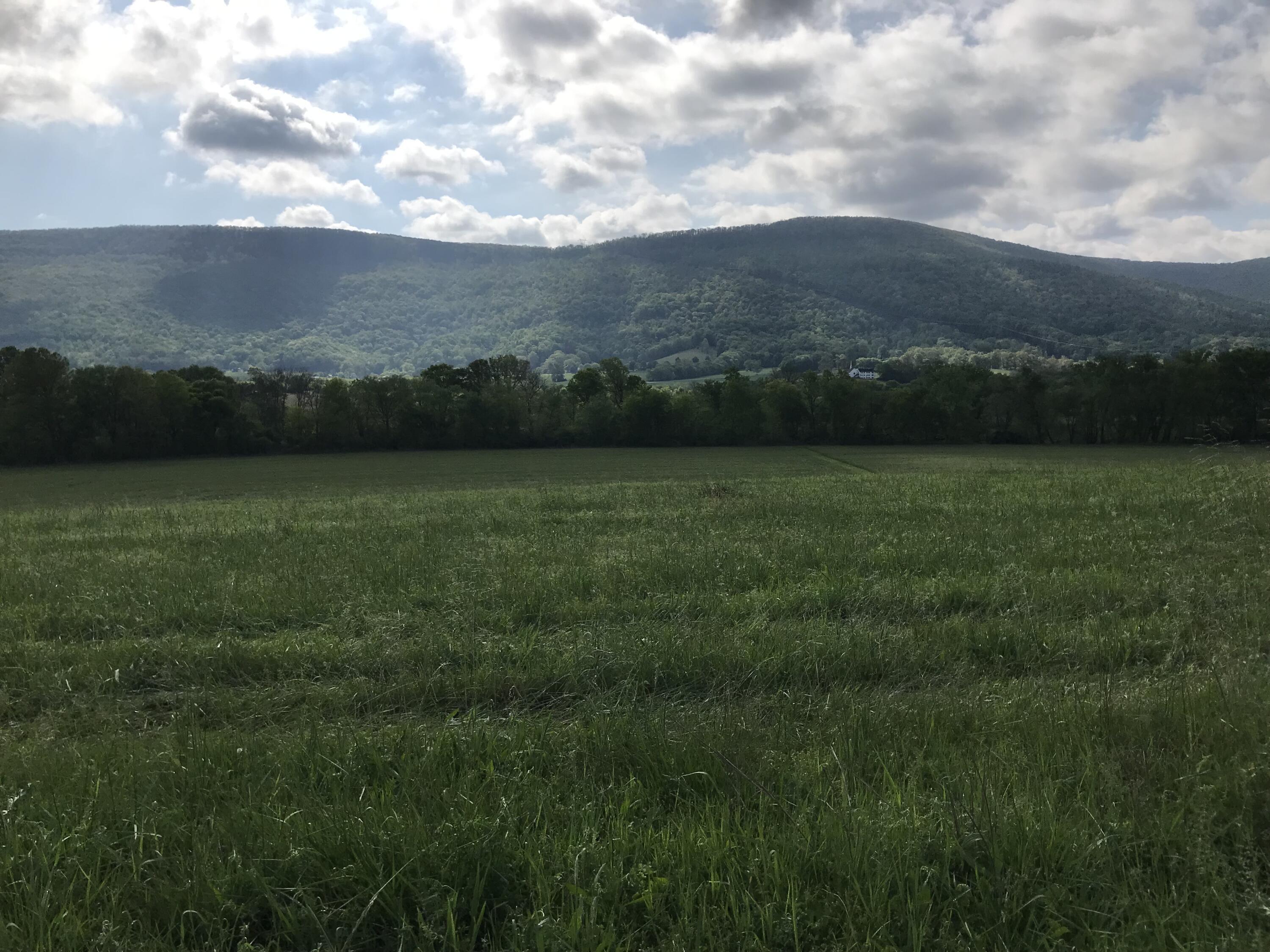 Lot 4 Hudlow Rd #4, Dunlap, Tennessee image 9