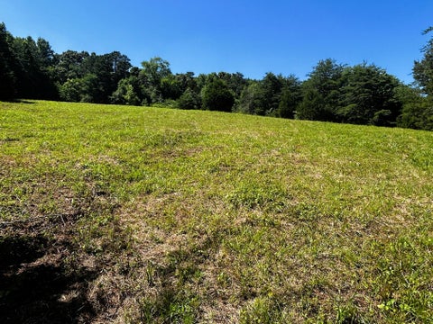 Photo of 1060 County Road 130, Riceville, TN 37370 (MLS # 1536259)