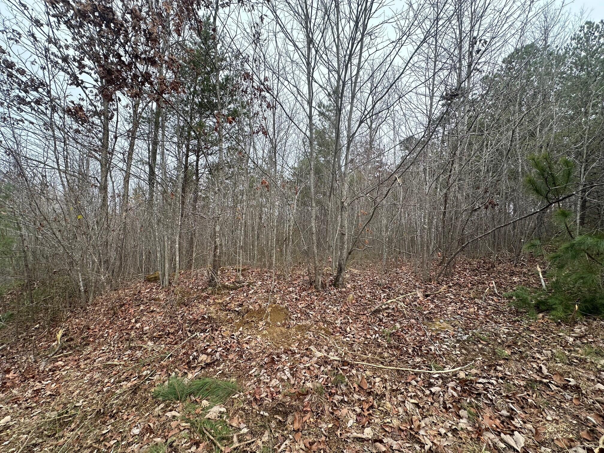 5.23 Browns Hollow Road, Tracy City, Tennessee image 7