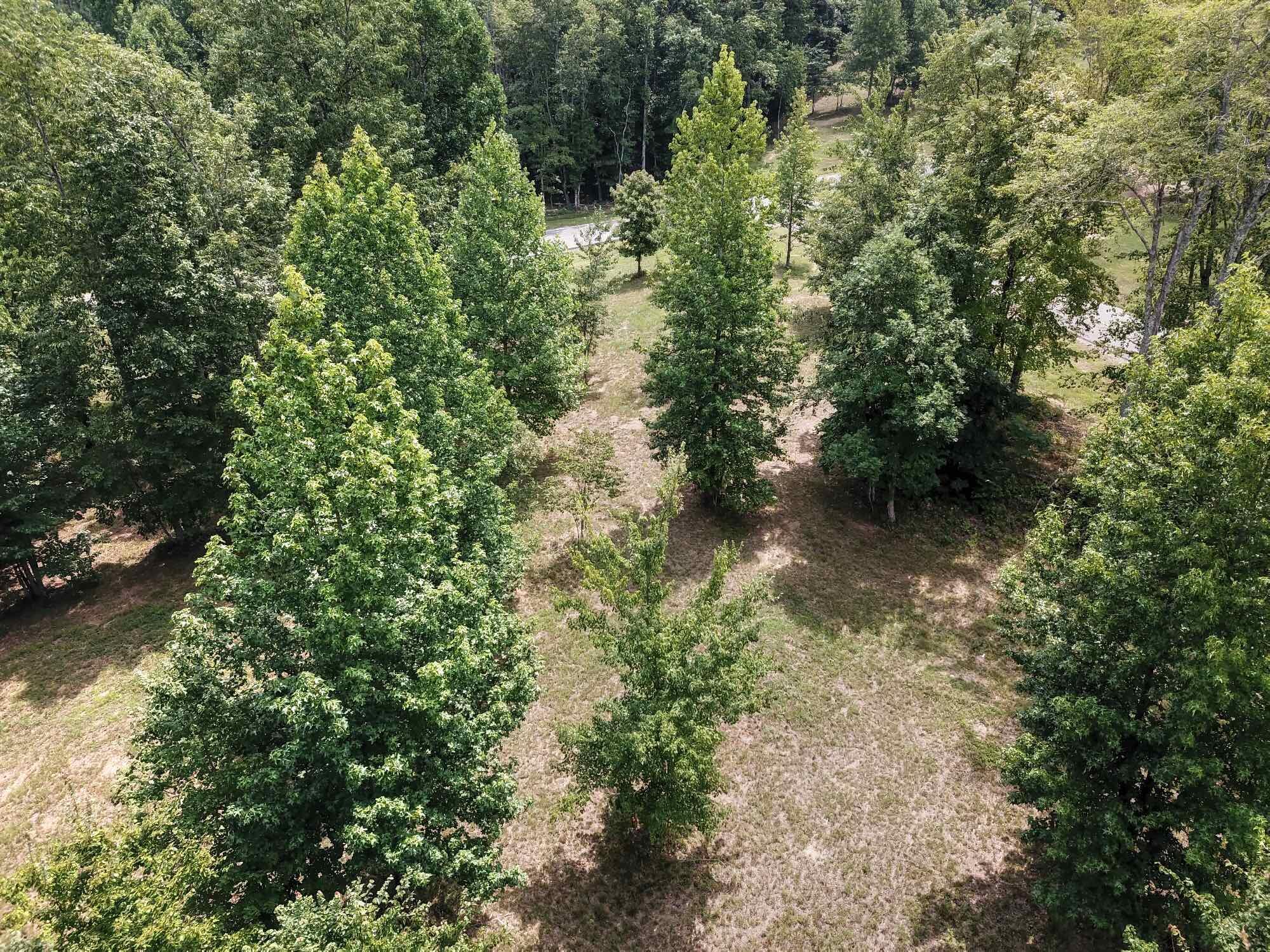 000 Chipmunk Court #255, Jasper, Tennessee image 15