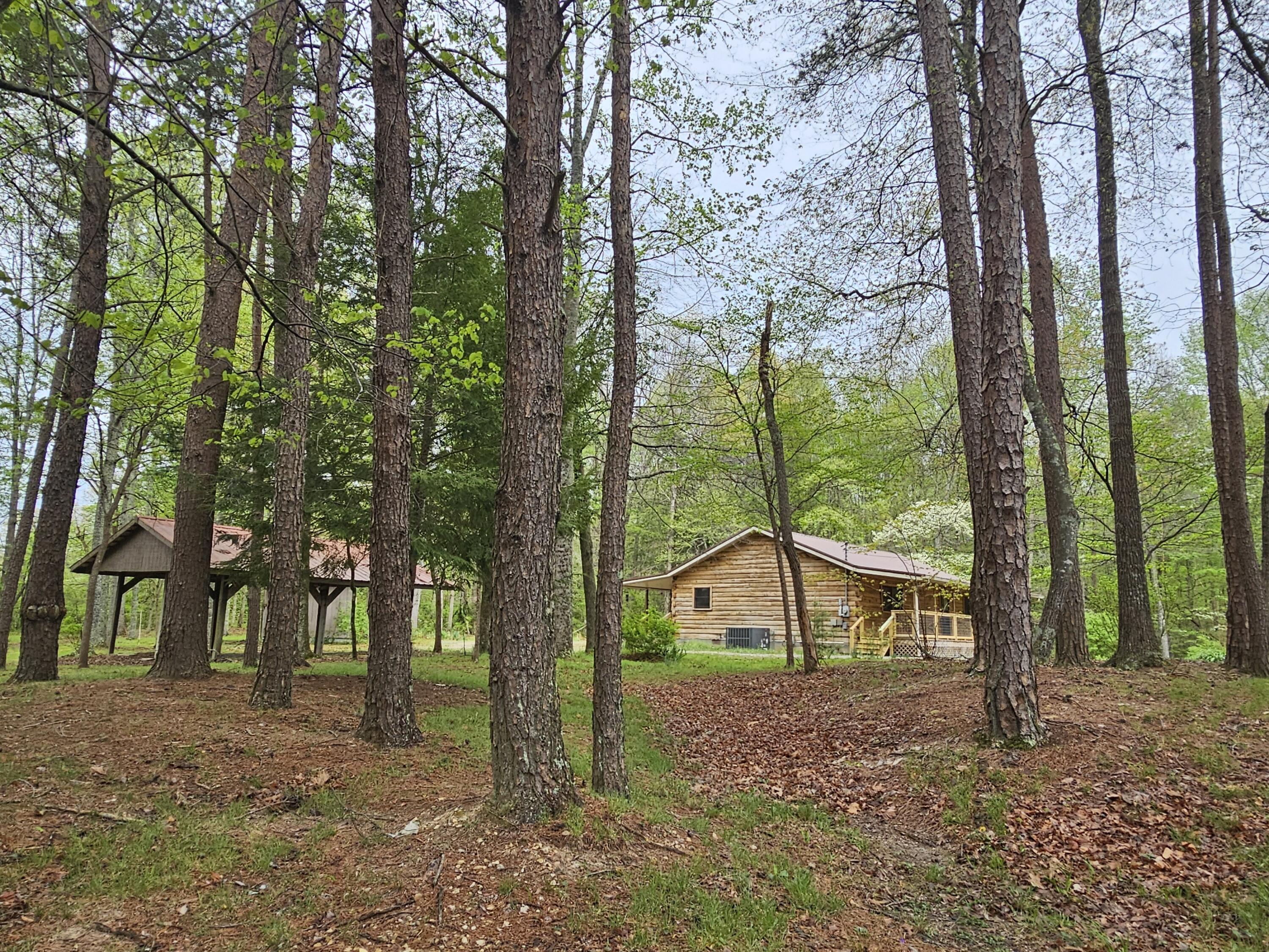 73 S 20th Avenue, Gruetli Laager, Tennessee image 3