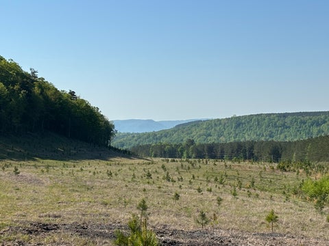 Photo of 866 Bowater Rd Road, Pikeville, TN 37367 (MLS # 1544516)