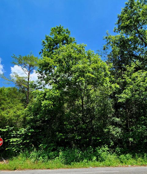 Photo of 0 Valley Road, Pikeville, TN 37367 (MLS # 1516089)
