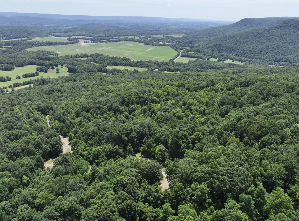 Dancing Fern Road, Sequatchie, Tennessee image 3