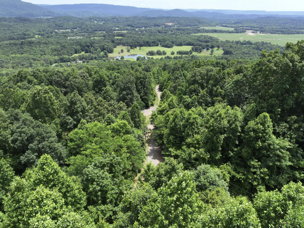 Dancing Fern Road, Sequatchie, Tennessee image 4