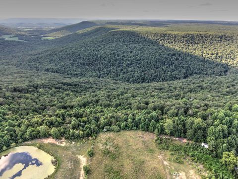 Vacant Land For Sale - 00 County Rd 818<br/> Bryant, AL 35958
