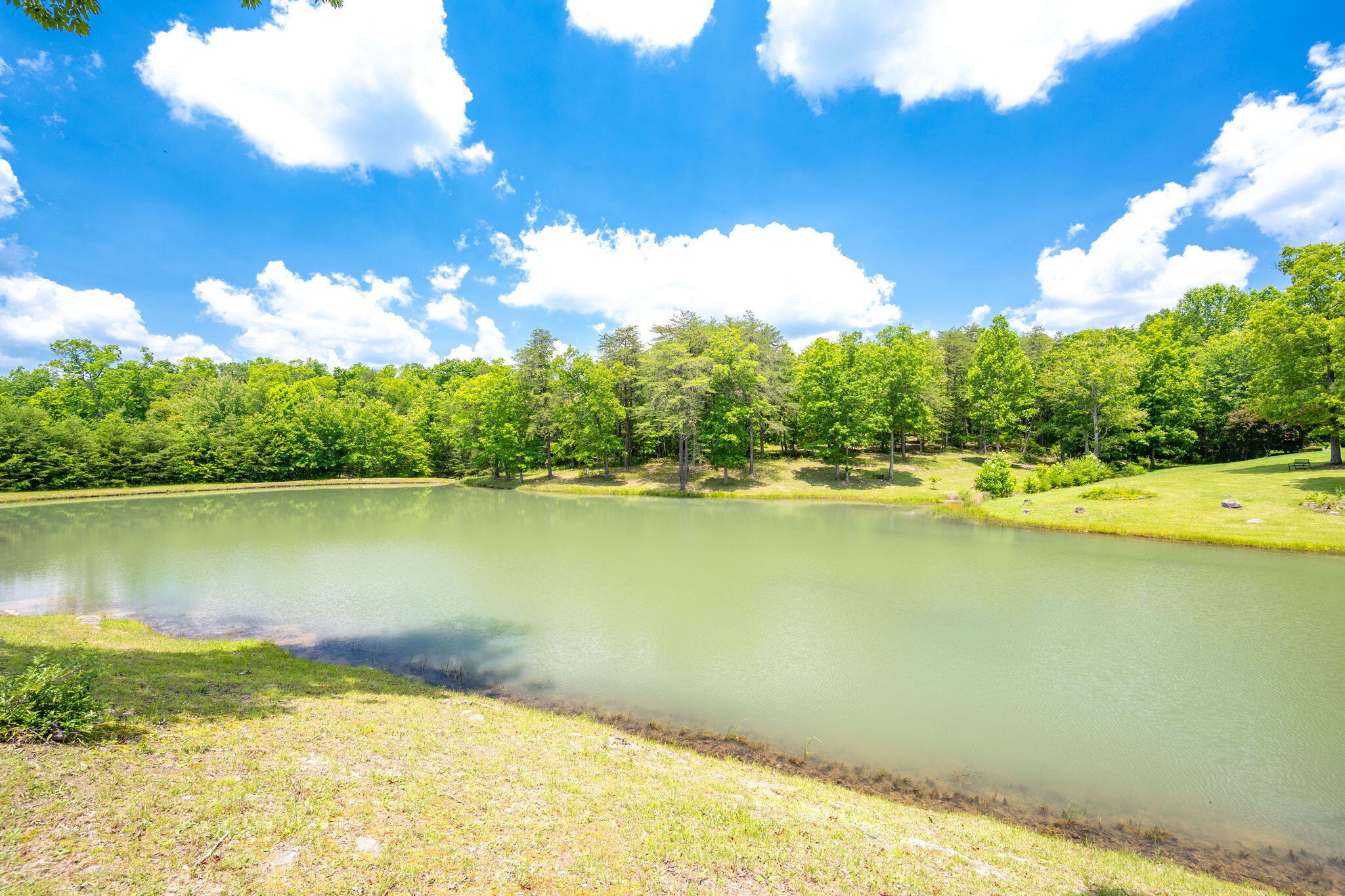 222 Bennie Camp Road, Dunlap, Tennessee image 46