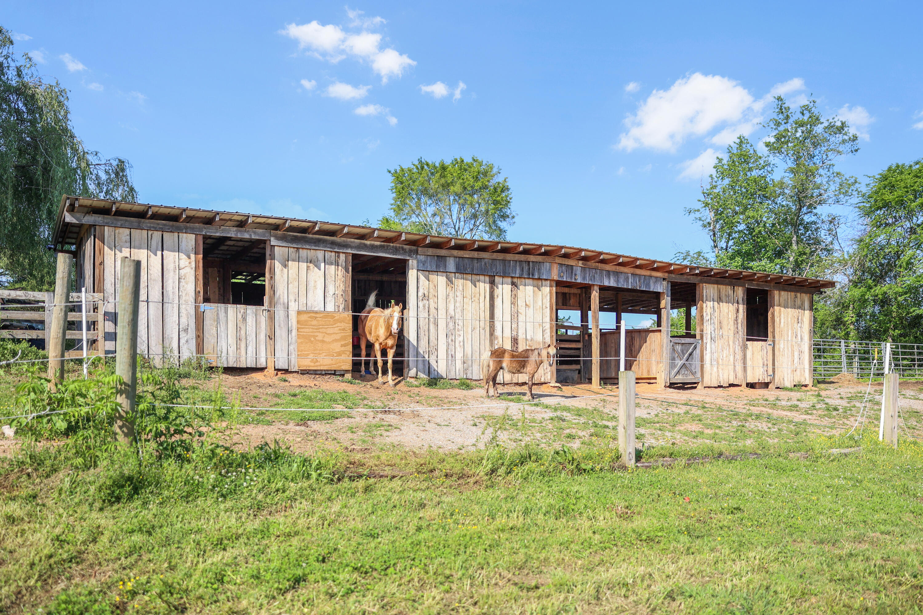 200 Reavley Road, Sale Creek, Tennessee image 46
