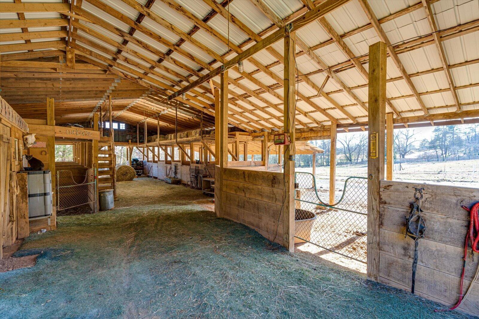200 Reavley Road, Sale Creek, Tennessee image 45
