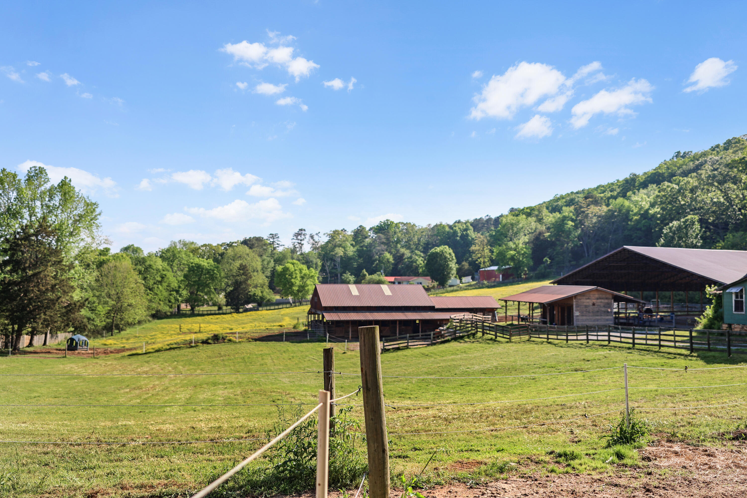 200 Reavley Road, Sale Creek, Tennessee image 50