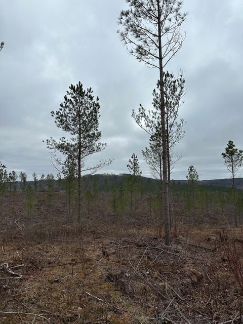 Vacant Land For Sale - TRACT 24 Thomas Springs Road<br/> Cumberland County, Crossville, TN 38572