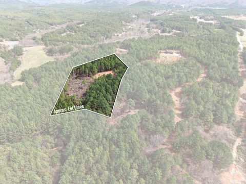 Vacant Land For Sale - 5333 U.s. 64, Lot 3<br/> Copperhill, TN 37317