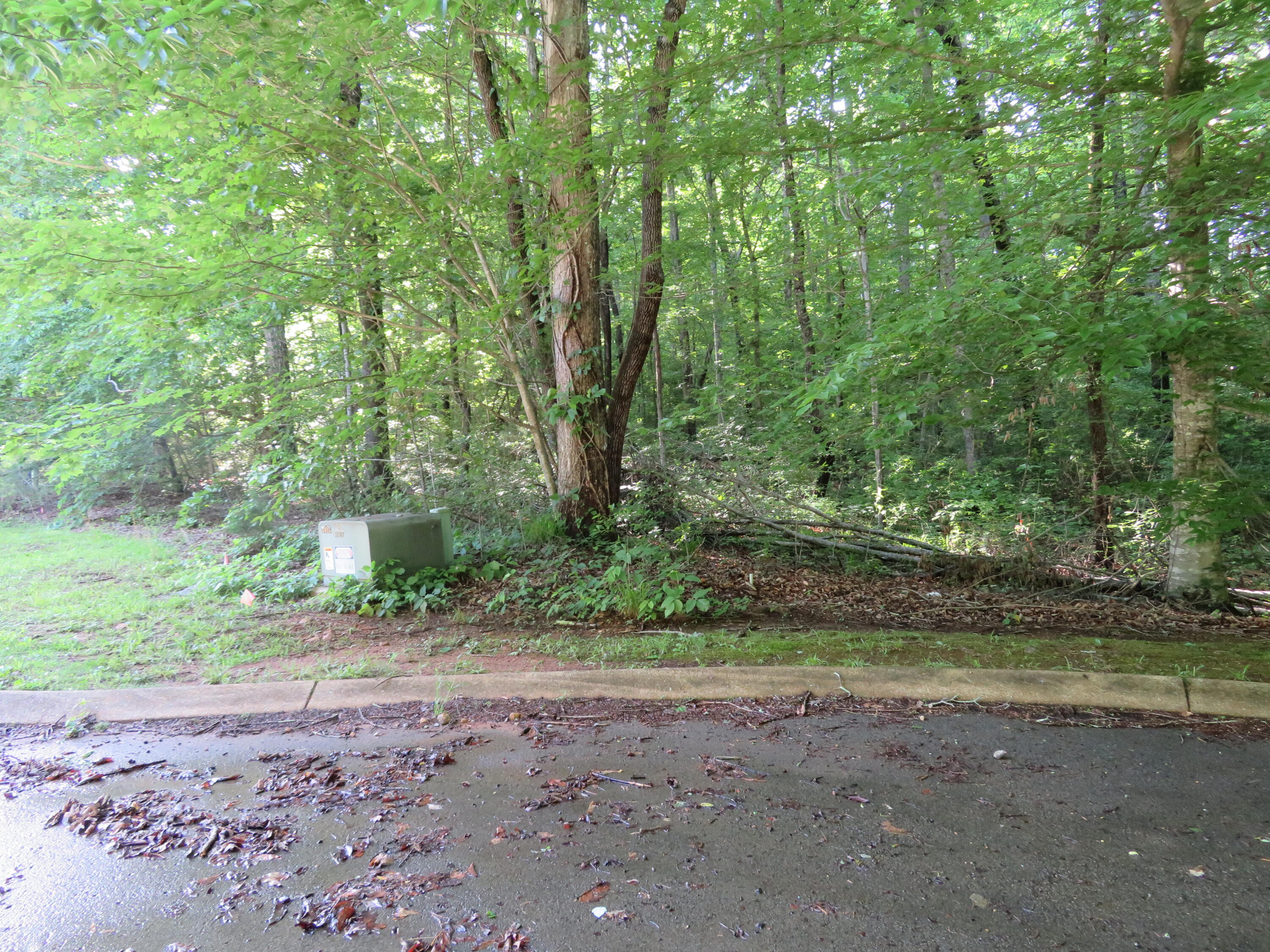 65 Golf Villa Drive, Dunlap, Tennessee image 1