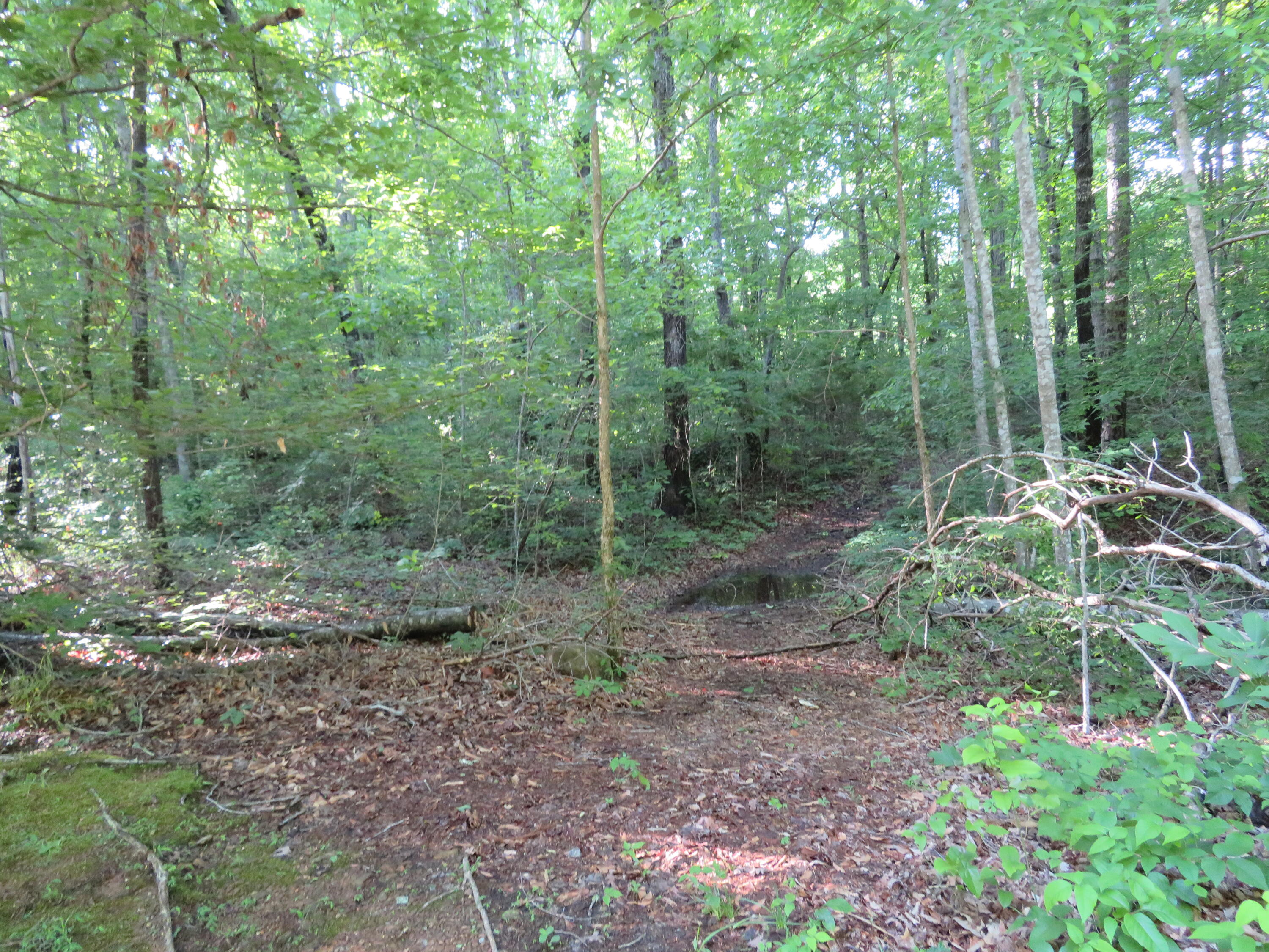 65 Golf Villa Drive, Dunlap, Tennessee image 8