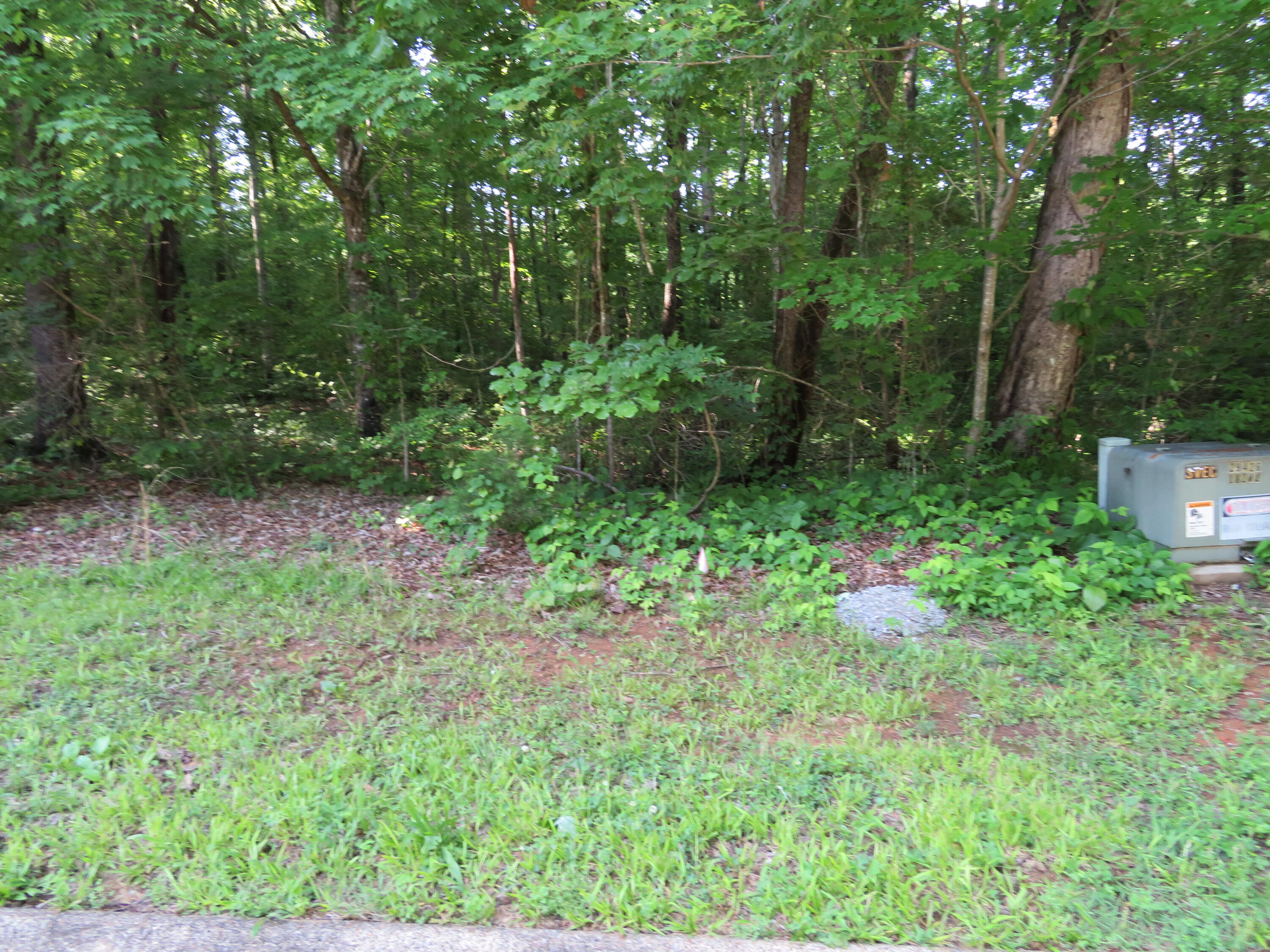 65 Golf Villa Drive, Dunlap, Tennessee image 5