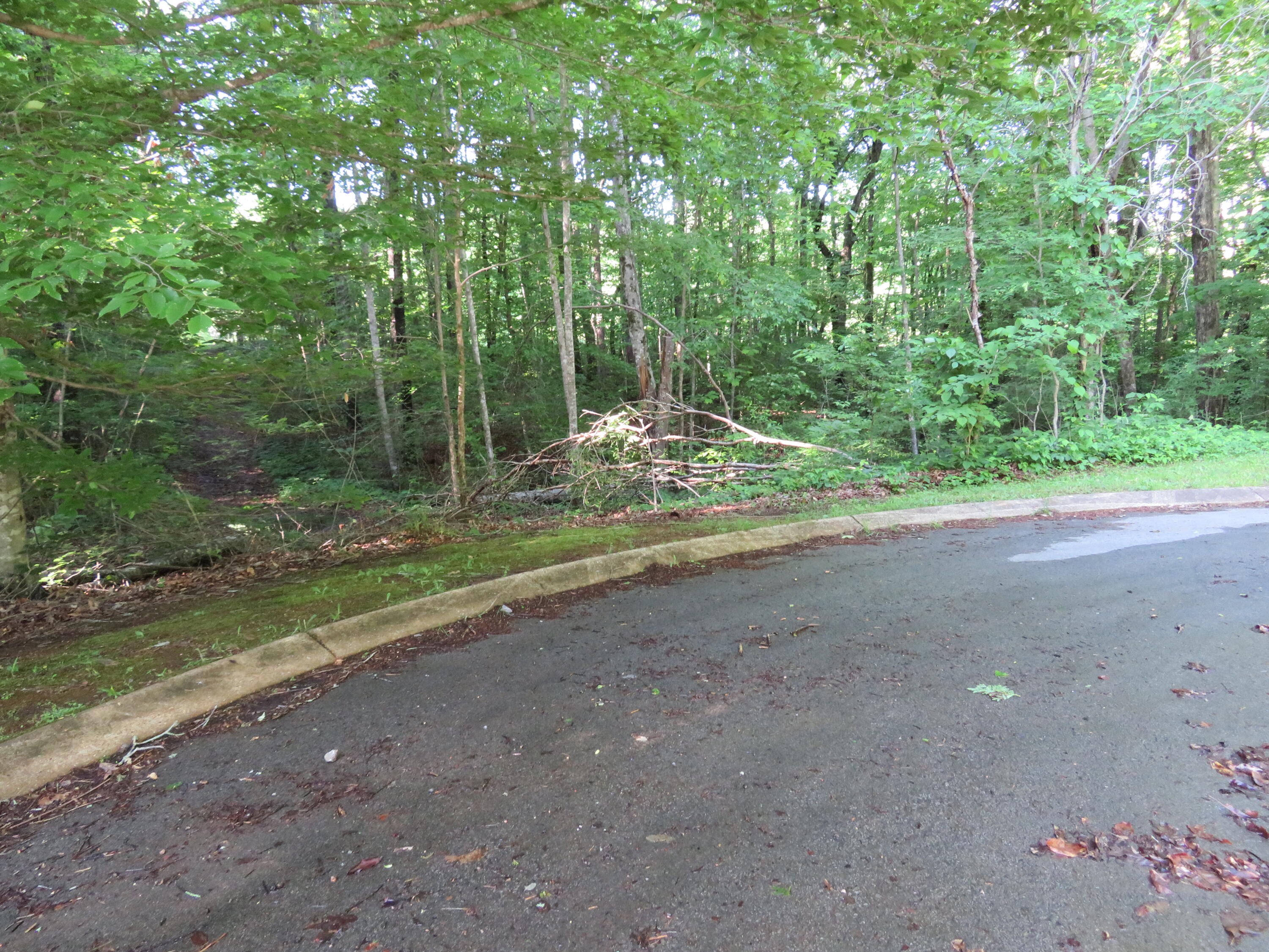 65 Golf Villa Drive, Dunlap, Tennessee image 3