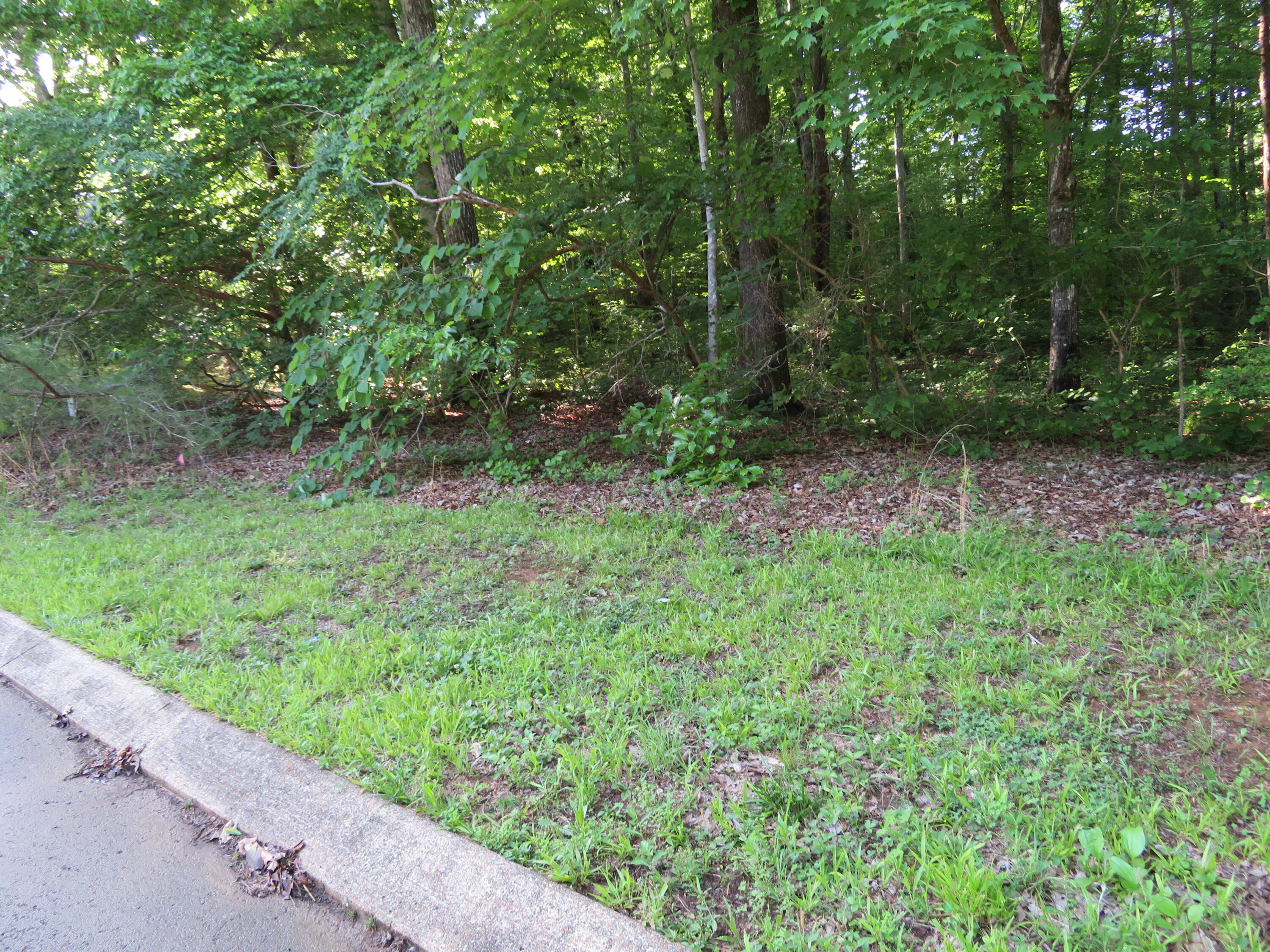 65 Golf Villa Drive, Dunlap, Tennessee image 6