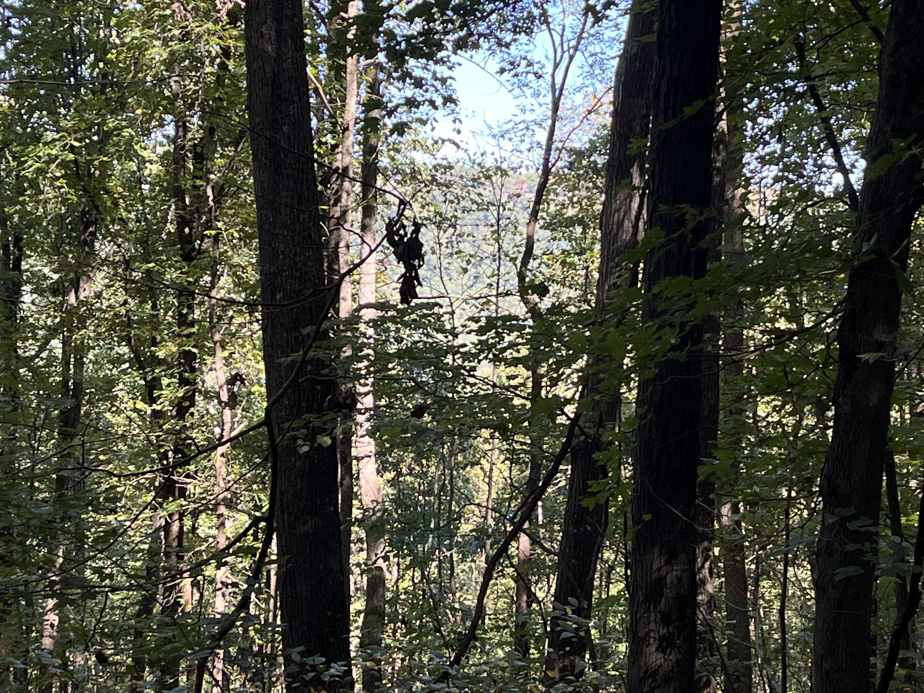 Senators Run, Pikeville, Tennessee image 6