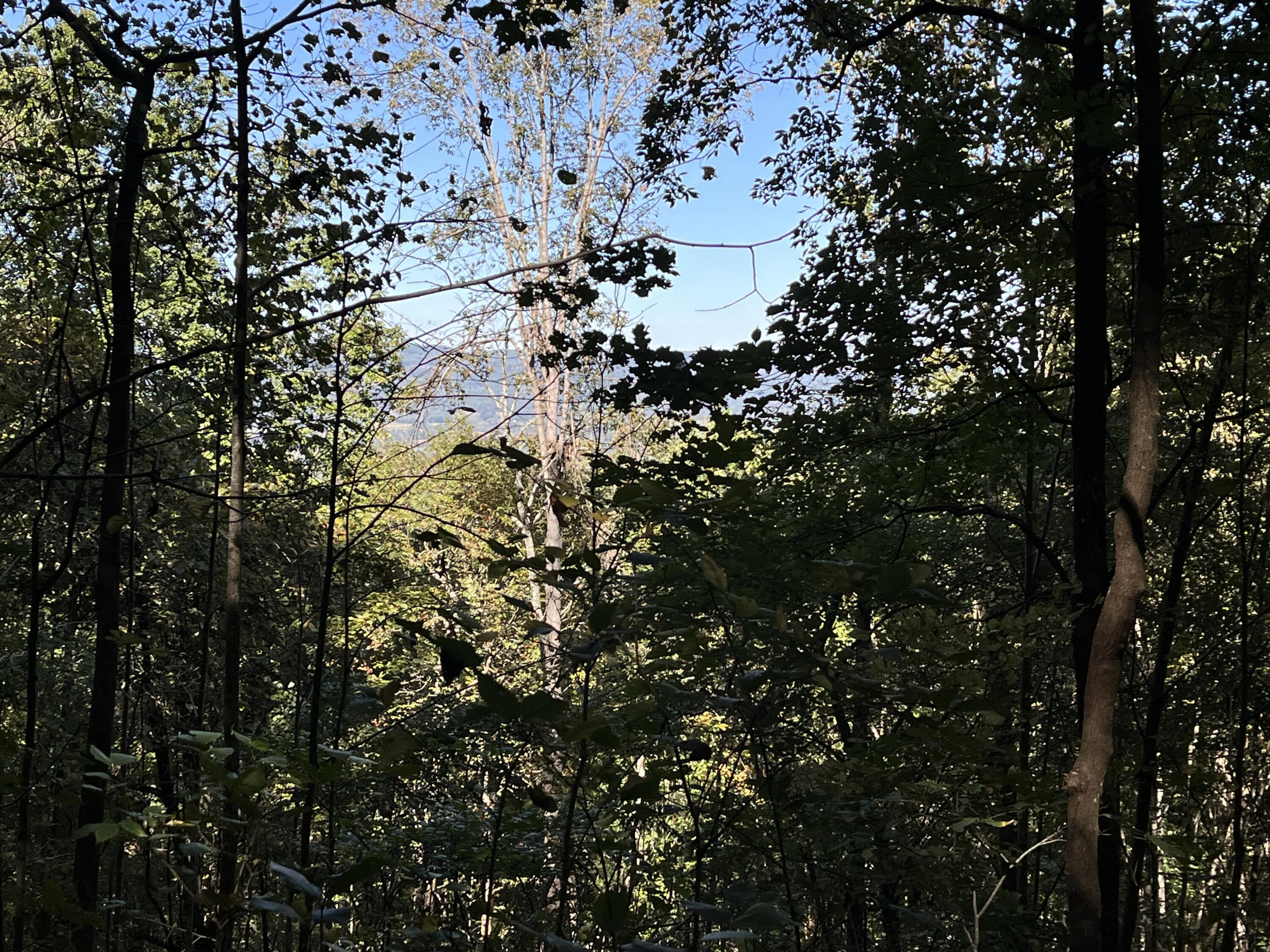 Senators Run, Pikeville, Tennessee image 9