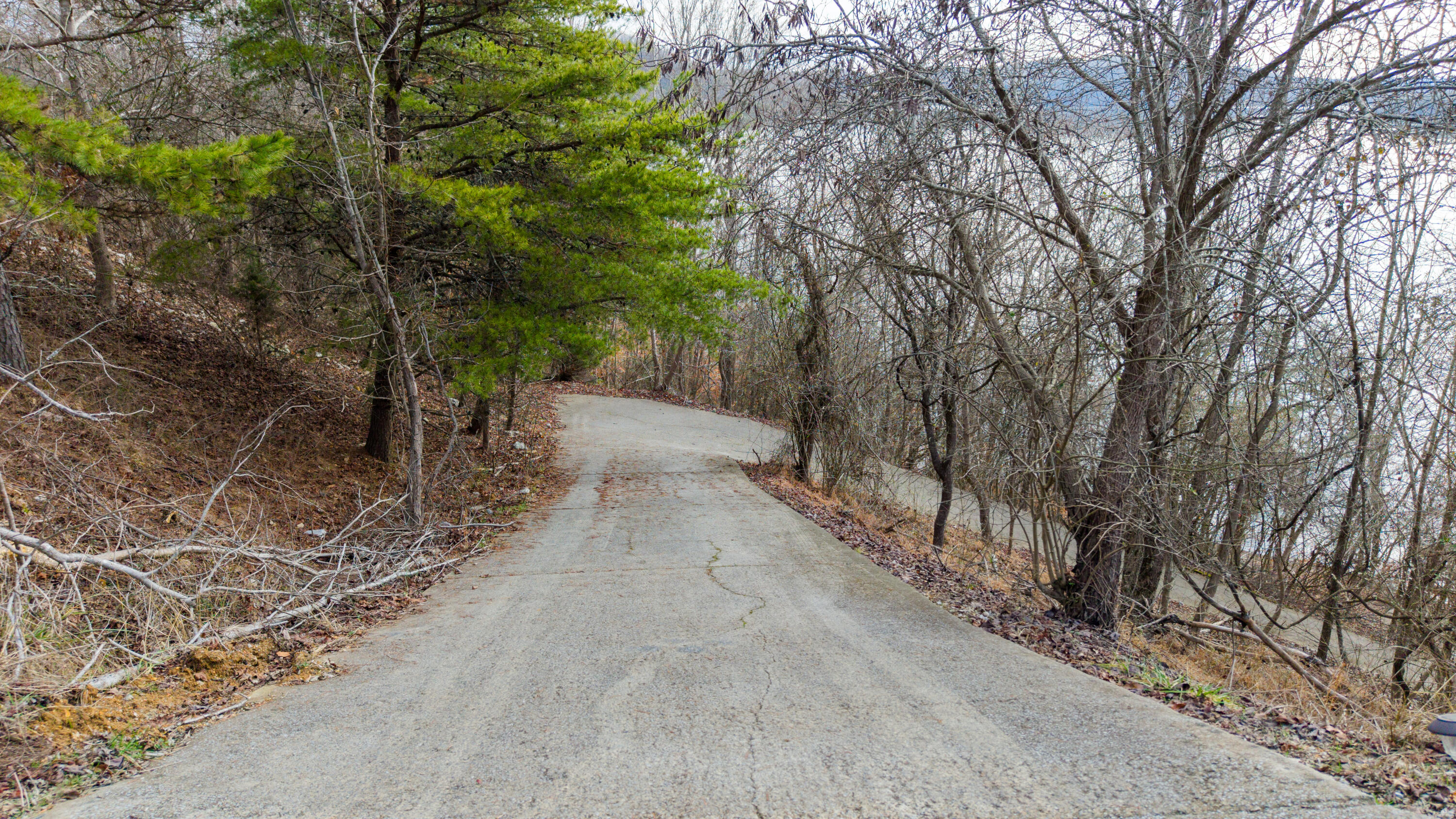 Overlook Drive, Rockwood, Tennessee image 27