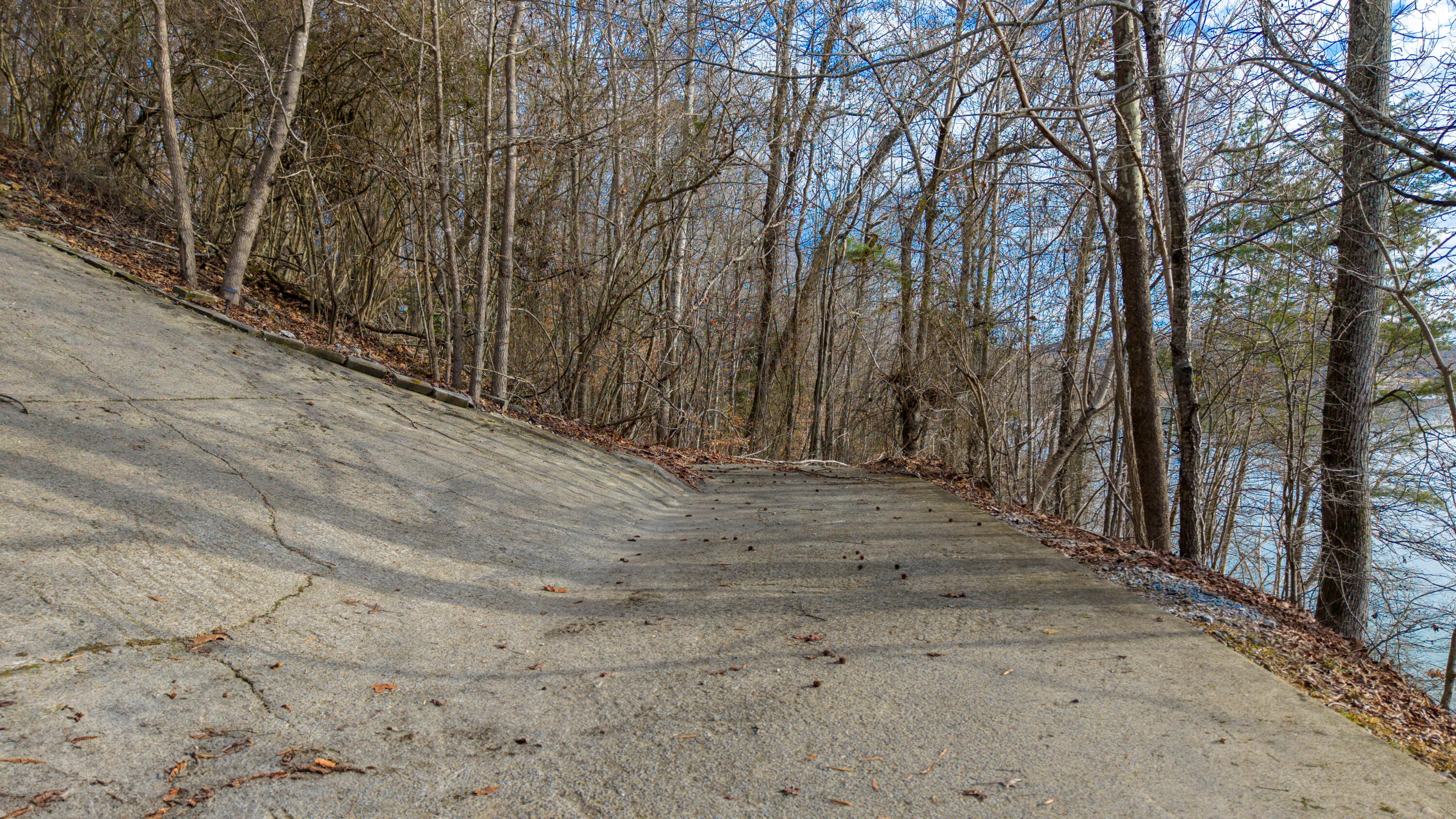 Overlook Drive, Rockwood, Tennessee image 32